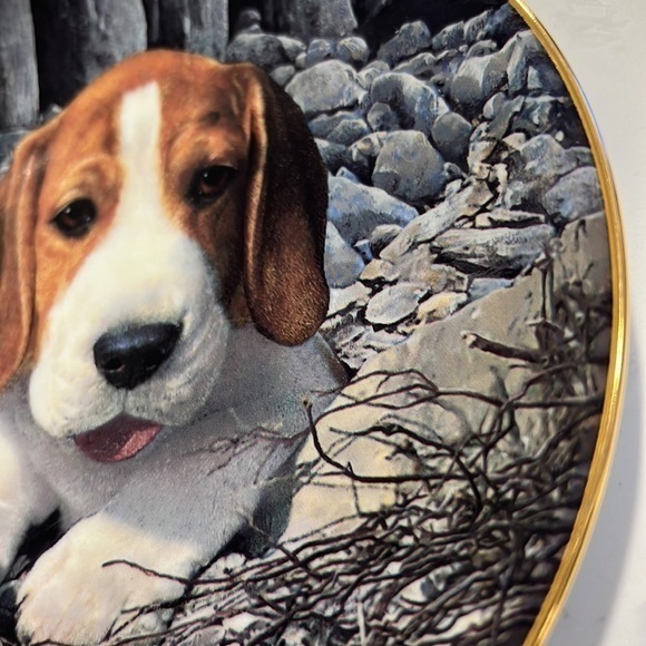 BEAGLES lovers plate by Simon‎ Mendez - Picture 5 of 10